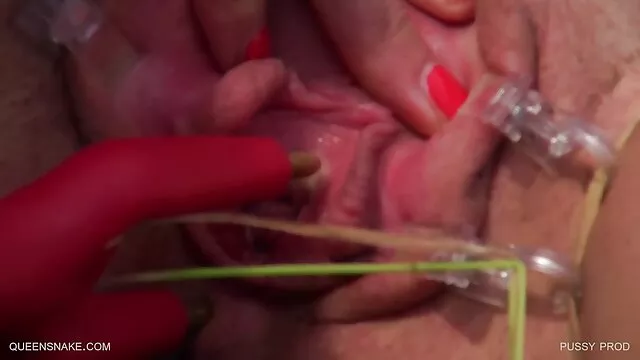 卡罗来纳可乐 本十性漫画