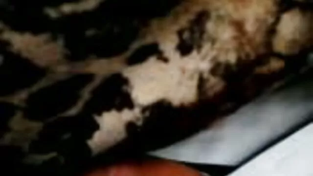 极端Voxxing,1. 第二部分-维多利亚Voxxx(2019)) 色情漫画网