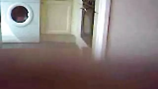 铁杆,猫6. 异族无尽的漫画 B部分